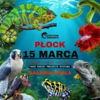 639609925_2175550846521261_6811090447296989056_n