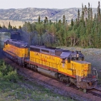 643917778_3768858333249551_6471836215347753461_n