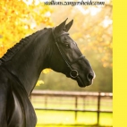 646406738_3970199426612033_9012490319584385400_n