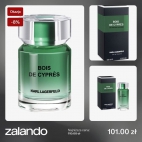 647688628_1237184805226768_8282617122490994595_n