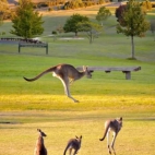 647920958_122321419670199098_7379576371776460505_n