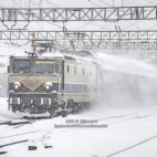 648409921_915341644542846_6357437062450543990_n