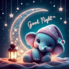 648509165_122168177744611326_3665972082644407046_n