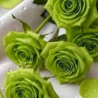 649145648_1655292159254122_8958228991869090809_n