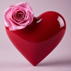 649193283_122207691098365339_5705114226637356278_n