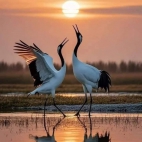 649263455_2075167306382026_2046810171857856001_n