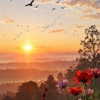 649290089_2075167716381985_9075998192048005427_n