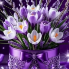 649796594_1292603636100443_7049568102579741925_n