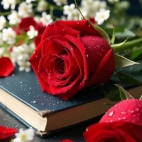 649840593_2074723536426403_8756012143904554375_n