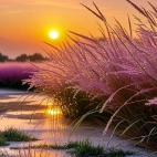 650014125_2075167786381978_80245265430845326_n