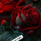 650159879_3234559670045602_208343206182304521_n