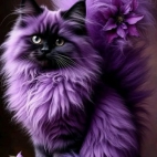 650337100_1355090533318134_9109057090724849534_n