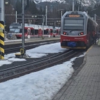 650497918_2232924830849011_6376754606036993993_n