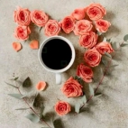 650737323_2875470726177970_1821740891162837227_n