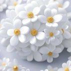 650857083_122258799458263939_5158209180522602709_n