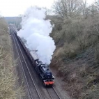 10010412790562377444