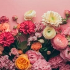 497324849_9620158358094007_5980376030598352656_n