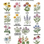 656959811_1422768519871219_1888548284119563011_n