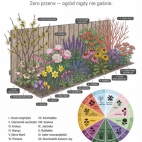 657499003_827103637084085_4181629984454098549_n