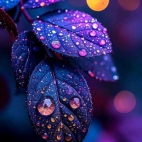 658140858_2092412867990803_1945263997780347184_n