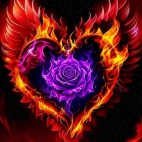 659799012_122236701392252700_6637973088871482917_n