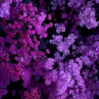 660243071_2092412934657463_1564784653061678249_n