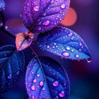 660279739_2092412907990799_8269622309241496929_n