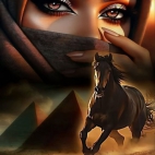 660407387_122170474226611326_7985866516659256313_n