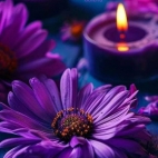 661438239_2092412724657484_3631993515330584781_n