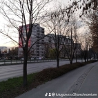 watermark-232ab39b3eb03a0c3f79a5416b720882_0