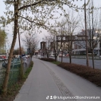 watermark-0393217be8def4665592a559c51c7b33_0