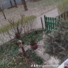 watermark-f490d8b8026cd8f79070d798faa2f1ce_0