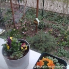 watermark-b75b27d6191bbbbf0b3f36f461a0e443_0