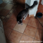 watermark-fc08d443d5a05bbb840c08f347af869b_0