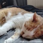 watermark-114ecfbe00f902db13f69a350ba2b528_0