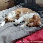 watermark-4bf03bb7879b383ba7c615c96ed8643d_0