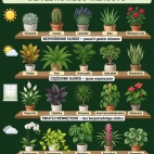 659808592_959792296607463_7370070807238692750_n