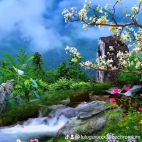 watermark-31ca3c8d15e79a52379b919b10d3fd40_0