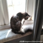 watermark-27505e9eb78277d147fb8de995fd5c63_0