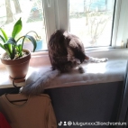 watermark-b3884b1d38433d1d185f8a27e2cc03cf_0