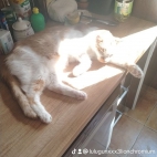 watermark-f4591d06f5b5682f3ebcfde1a2f40b0a_0