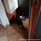 watermark-4724106a67749636c86bad98390a0f0a_0