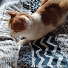 watermark-01871caec4538e8d76802f64ed1c9b7a_0