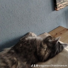 watermark-77fc75fae4434ee80788238a112a890f_0