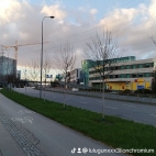 watermark-06e56d533e6c401125be4129bf6abecb_0