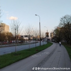watermark-25f2fa394a04396ea0bd0ef3bd5ad9d4_0