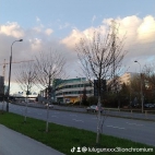 watermark-795ee1bed433c9a3802ab585ef95fba8_0