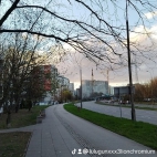 watermark-55ca1a22f9d8ffc5b2a41c2a8608603a_0