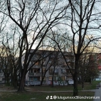 watermark-ab280d77d38b9e6ef933999a118c52b0_0