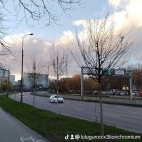 watermark-0024760f75fe9c047a4232ff82fa9701_0
